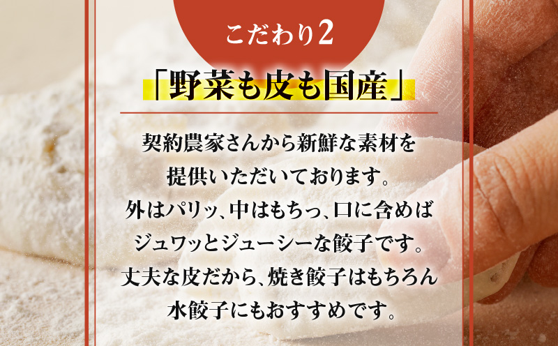 鹿児島黒豚使用の黒豚餃子 36個　K202-001_01