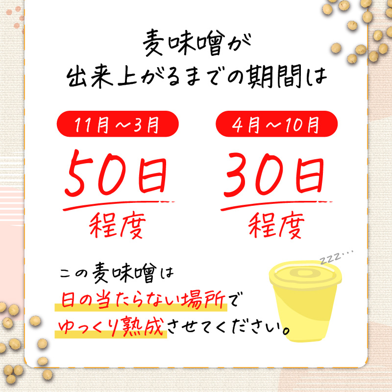 「かねよ みそ しょうゆ」麦味噌手作りキット 3kg　K058-004