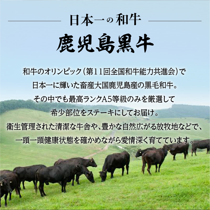 A5鹿児島黒毛和牛希少部位ステーキセット 600g　K002-003