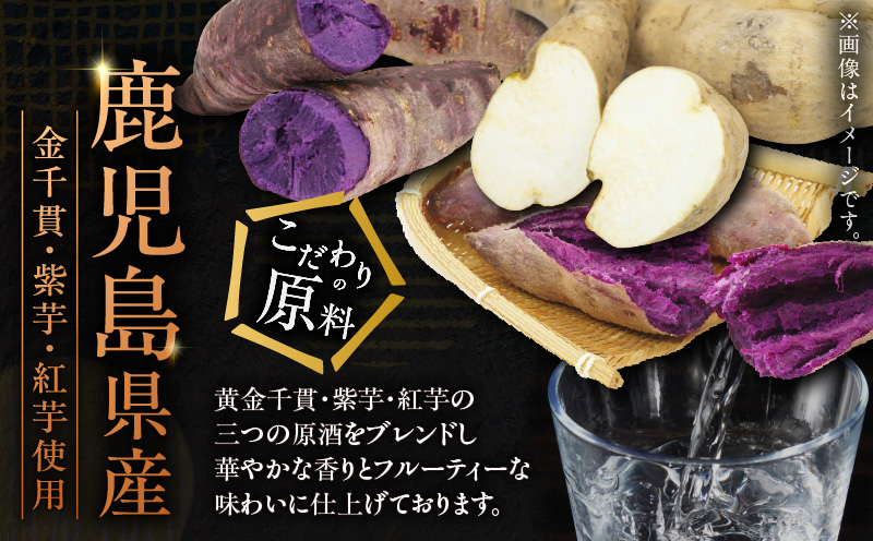 黄紫紅 芋焼酎 25度 900ml×6本　K377-010_03