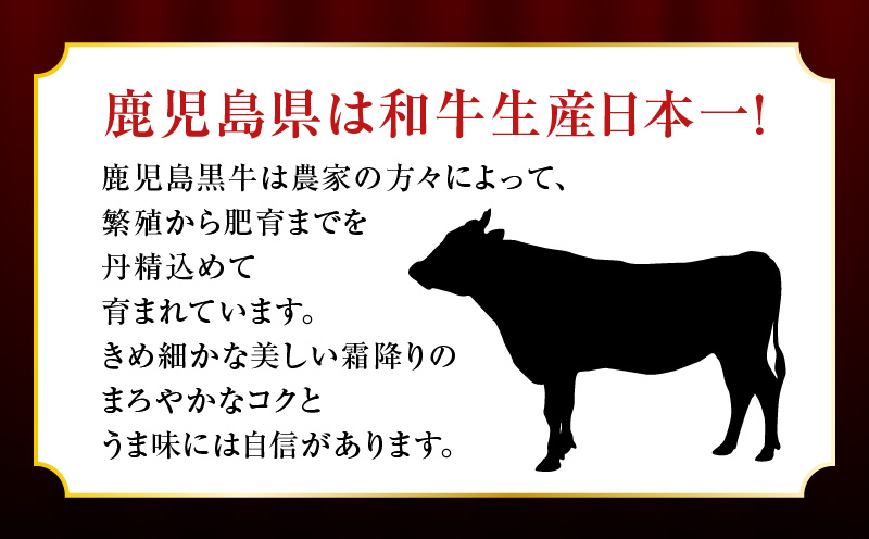 （KH-401）鹿児島黒牛サーロイン焼きしゃぶセット（計500g）　K127-018_01