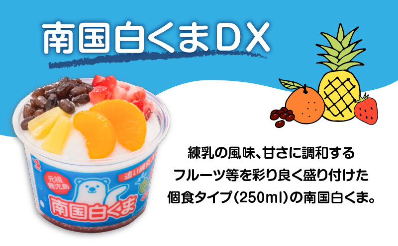 セイカ食品　南国白くまDX詰め合わせセット　K051-002