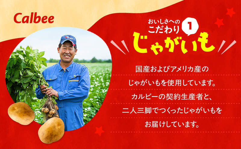 カルビー ポテトチップス BIGBAG【九州しょうゆ】 12袋　K194-002_02