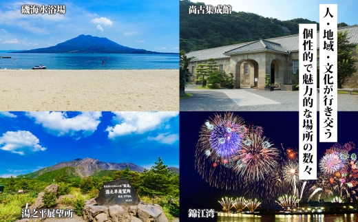 鹿児島市 後から選べる旅行Webカタログで使える！旅行クーポン（30,000円分） 旅行券 宿泊券　K350-001_03