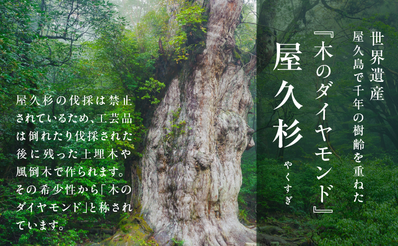 屋久杉 高級一膳箸 男性用（23cm）　K042-009_2