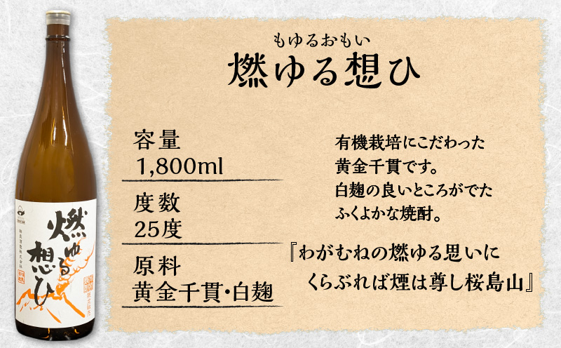  【相良酒造】鹿児島限定一升瓶セット　K004-008