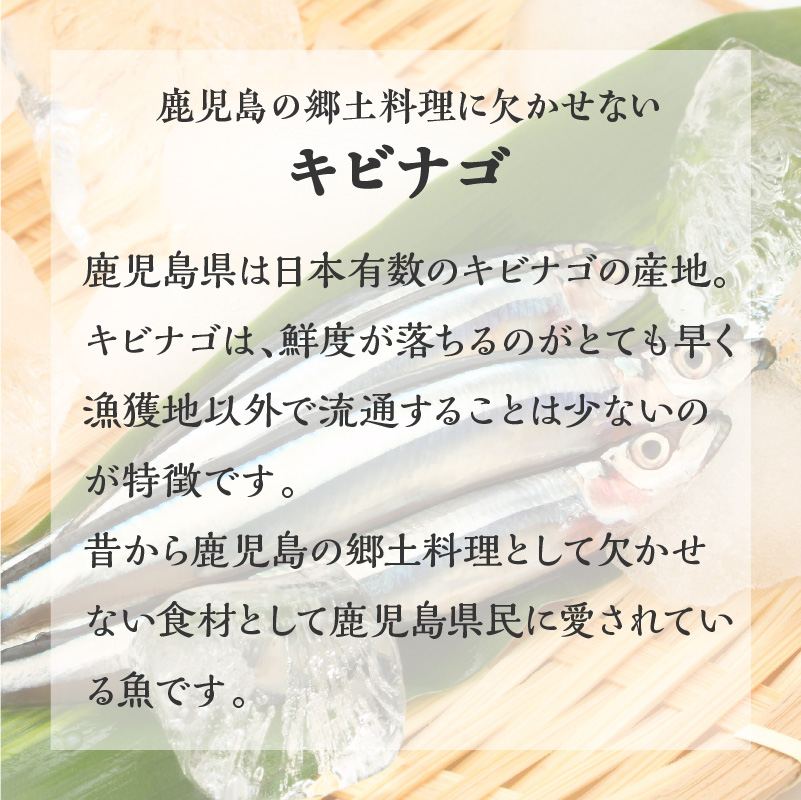  まるごとキビナゴ便り～オリーブ仕立て三彩～ 6個セット　K032-003