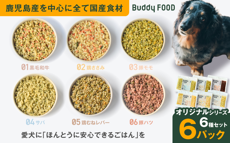 Buddy FOOD オリジナルシリーズ6種セット　K390-001_19