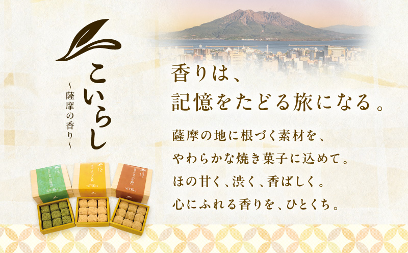 こいらし（知覧茶）　K300-010_01