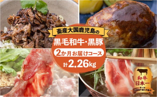 【岩元精肉店】鹿児島県産黒毛和牛・かごしま黒豚　お楽しみ2か月お届けコース　K045-T02