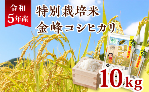 令和5年産特別栽培米金峰コシヒカリ10kg　K226-001_14