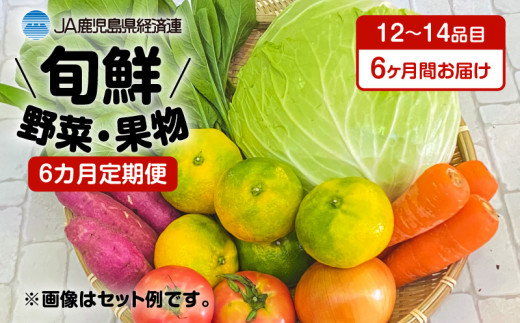 【JA直売所セレクト】6ヵ月定期便！旬鮮野菜・果物セット（12〜14品目）　K072-T01