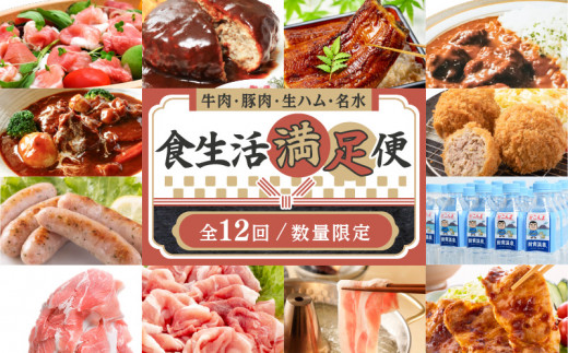 【全12回・数量限定】牛肉・豚肉・生ハム・名水「食生活満足便」　K086-T01