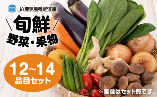 【JA直売所セレクト】旬鮮野菜・果物セット（12〜14品目）　K072-001