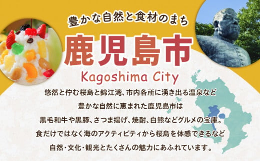 鹿児島県鹿児島市の対象ツアーに使えるHISふるさと納税クーポン 寄附額1,000,000円　HIS-100