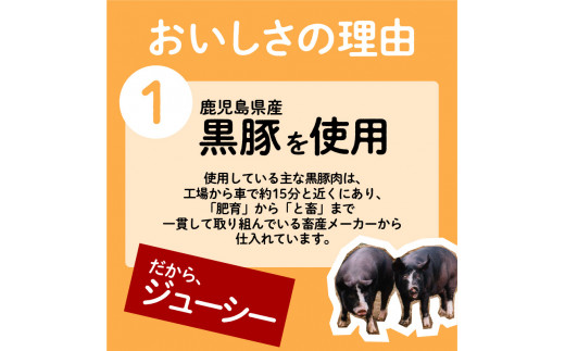 ちゃこばあちゃんの黒豚入りうんまか生餃子　60個入り　K027-001