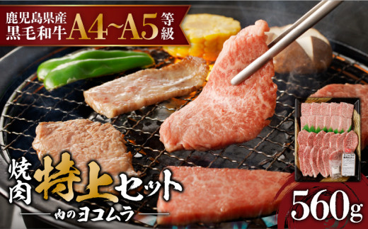 【鹿児島黒毛和牛A4〜A5】焼肉特上セット(特上カルビ/特上ロース)　K189-007