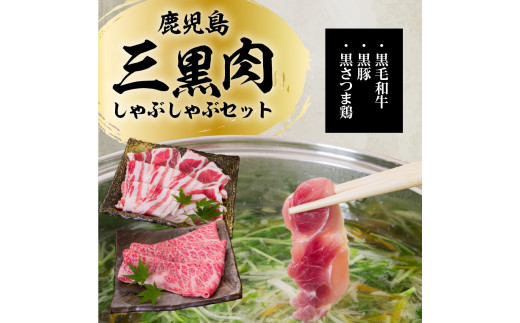 鹿児島三黒肉（黒毛和牛・黒豚・黒さつま鶏）のしゃぶしゃぶセット 700g　K134-006