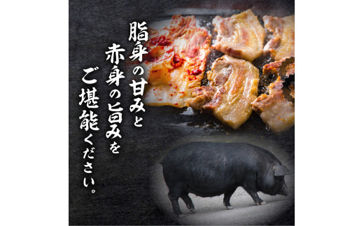 【1.6kg超】黒豚焼肉三昧　K086-026