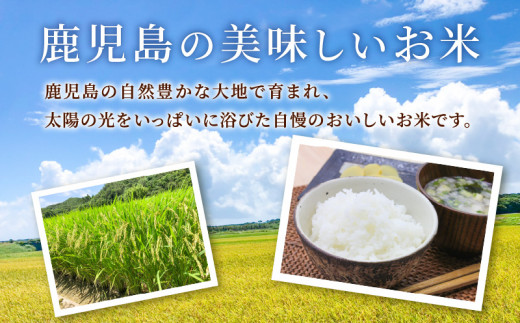 令和5年産BG無洗米鹿児島県コシヒカリ5kg　K226-001_03