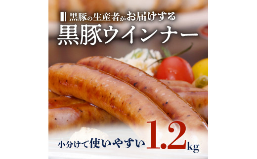 種豚場がお届けする鹿児島伝統の黒豚　黒胡椒の効いた黒豚ウインナー　K125-002