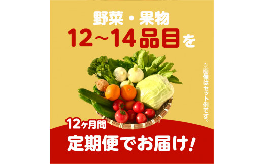 【JA直売所セレクト】12ヵ月定期便！旬鮮野菜・果物セット（12〜14品目）　K072-T02