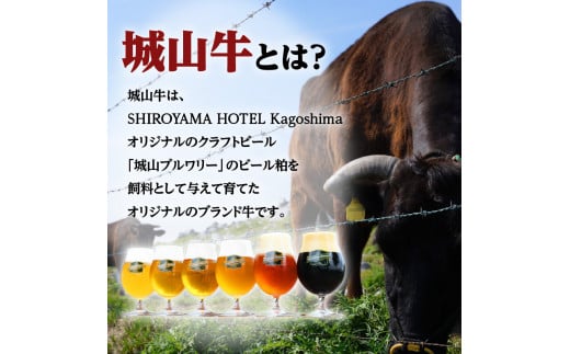 SHIROYAMA HOTEL kagoshima 城山牛リブロース　K096-004