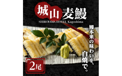 SHIROYAMA HOTEL kagoshima 城山麦鰻　K096-007