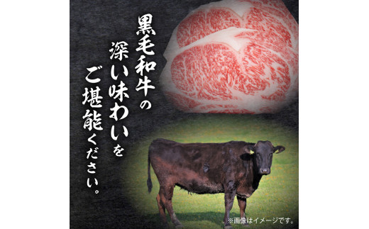 鹿児島県産黒毛和牛5等級サーロイン2枚入り360g　K086-029