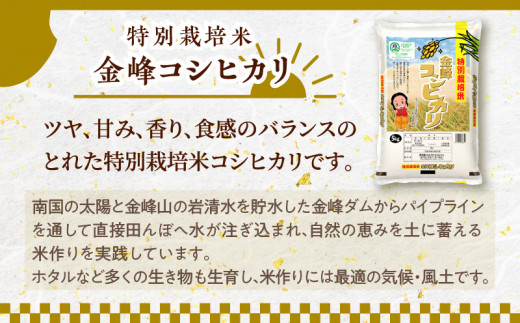 令和5年産特別栽培米金峰コシヒカリ5kg　K226-001_13