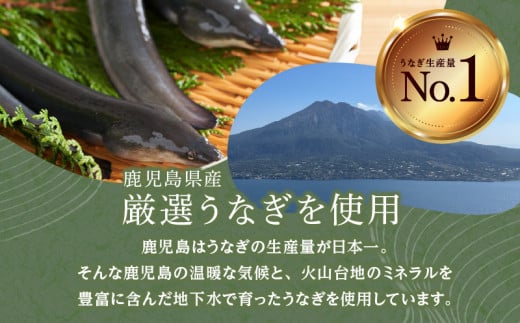 「うなぎ処　さいしょ」うなぎの蒲焼セット　3切×2パック　K030-001