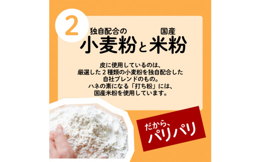 ちゃこばあちゃんの黒豚入りうんまか・しそ生餃子　計48個入り　K027-004