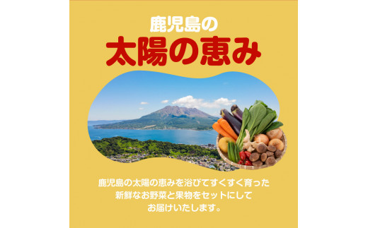 【JA直売所セレクト】12ヵ月定期便！旬鮮野菜・果物セット（12〜14品目）　K072-T02