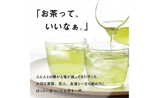 日本茶専門店【貴茶−ＴＡＫＡＣＨＡ】水出し煎茶　ティーバッグ　K068-014