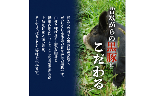 昔ながらの黒豚しゃぶしゃぶセット【バラ、ロース、肩ロース】３〜４人前　K125-003