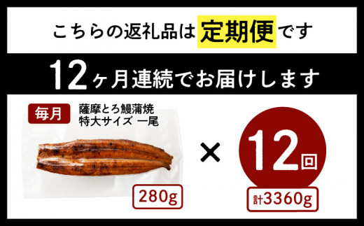 【全12回定期便】薩摩大とろ鰻蒲焼特大サイズ一尾　K190-T04