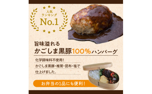 【岩元精肉店】鹿児島県産黒毛和牛・かごしま黒豚　お楽しみ2か月お届けコース　K045-T02