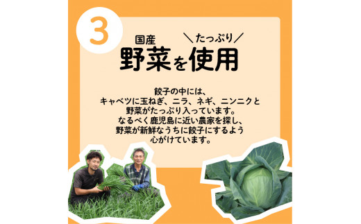 ちゃこばあちゃんの黒豚入りうんまか・しそ生餃子　計84個入り　K027-005