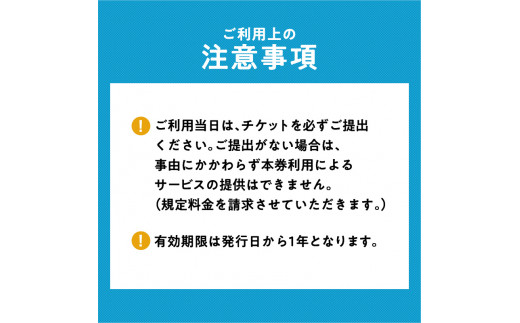 桜島半日カヤックツアー　2名様　ご利用券　K187-FT001