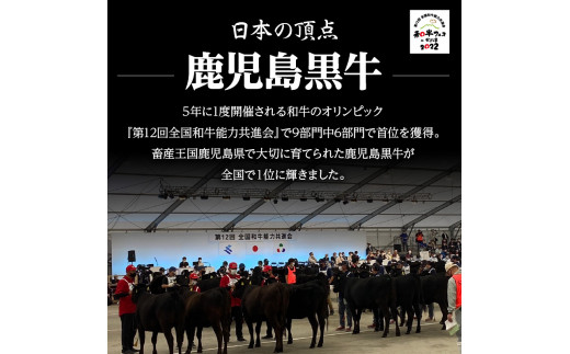 （Ｅ-1301）鹿児島黒牛すきやき食べ比べセット 計1.2kg　K127-005