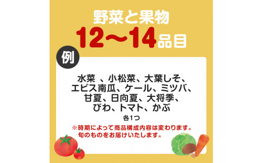 【JA直売所セレクト】6ヵ月定期便！旬鮮野菜・果物セット（12〜14品目）　K072-T01