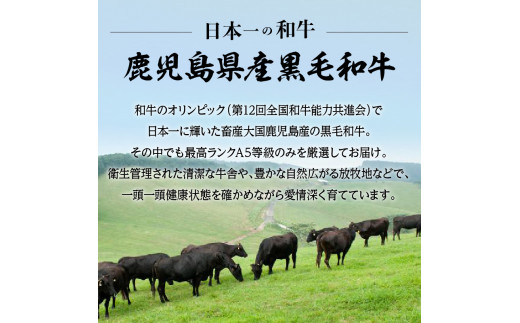 A5鹿児島黒毛和牛希少部位ステーキセット600g　K002-003