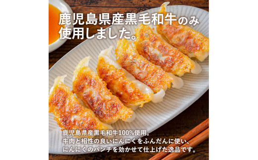 黒毛和牛100%牛餃子12個入り × 6Pセット　K098-006