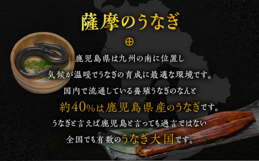 薩摩大とろ鰻蒲焼特大サイズ一尾　K190-002