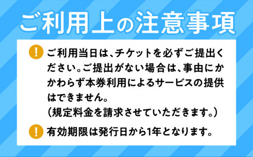 鹿児島市内観光＋霧島神宮観光めぐり7時間コース（ジャンボタクシー）9名様まで　K192-FT008