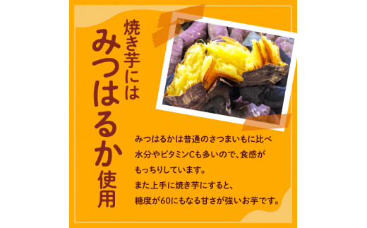 冷凍　熟成焼き芋みつはるか　K169-001