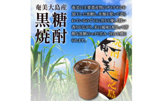 【洋食グリル肝付】自慢の鹿児島県産黒毛和牛タン　レトルトシチュー　K084-002