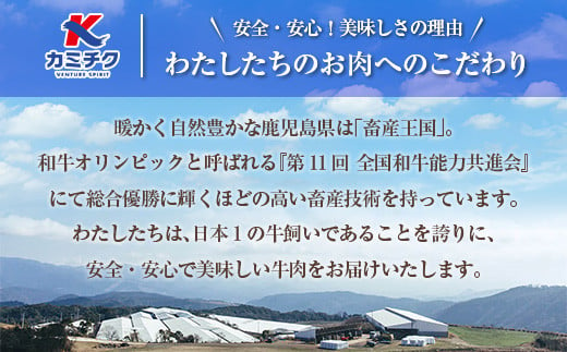 自社ブランド牛【上村牛】ユッケ8人前　K208-017