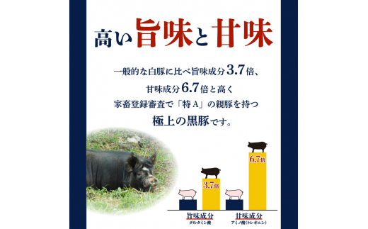 昔ながらの黒豚しゃぶしゃぶセット【バラ、ロース、肩ロース】３〜４人前　K125-003