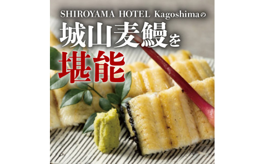 SHIROYAMA HOTEL kagoshima 城山麦鰻　K096-007